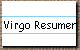 Virgo Resumen